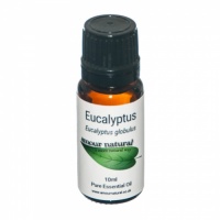 Eucalyptus Pure Essential Oil 10 ml