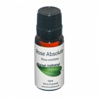 Rose Absolute 5% Dilute in Coconut Oil 10ml